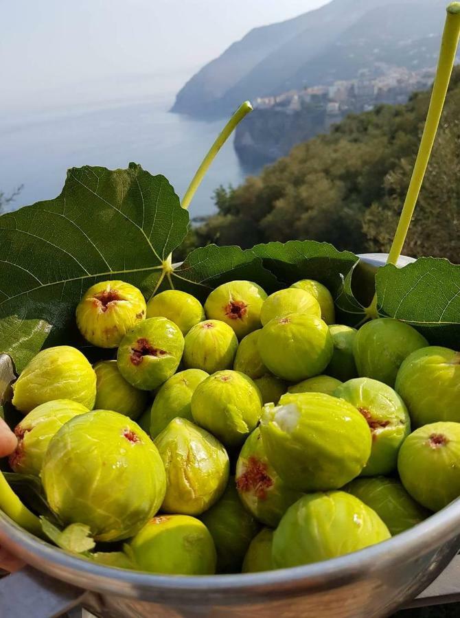 Casa Paola Villa Vico Equense Eksteriør billede